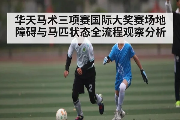 华天马术三项赛国际大奖赛场地障碍与马匹状态全流程观察分析